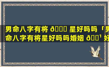 男命八字有将 💐 星好吗吗「男命八字有将星好吗吗婚姻 🌹 好吗」